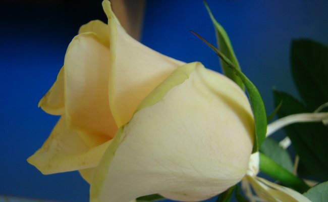 NIE OCZEKUJĘ JUŻ......