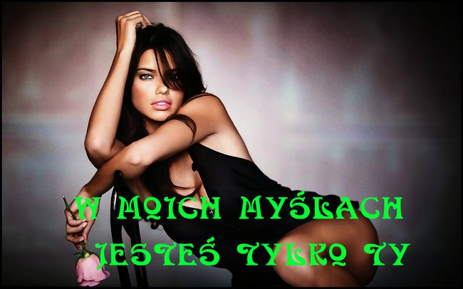 BIAŁĄ RÓŻĘ TYLKO TOBIE DAM