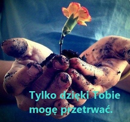 Taka    była    z    niej     dziewczyna