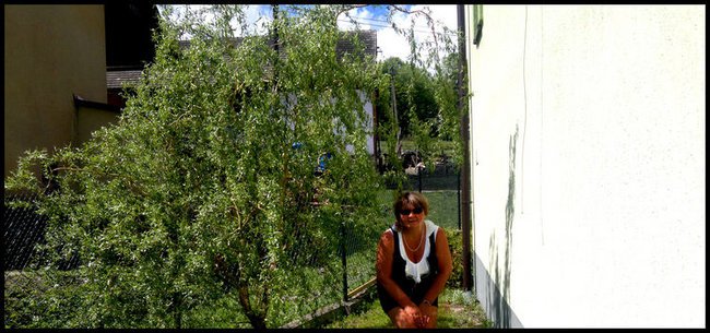 DLA WAS KOCHANI PRZYJACIELE  TEN SLAJDZIK