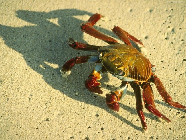 Zostawiam zawsze po sobie niedosyt - Barbara Mazurkiewicz