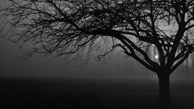 TYLKO DLA KONESERÓW