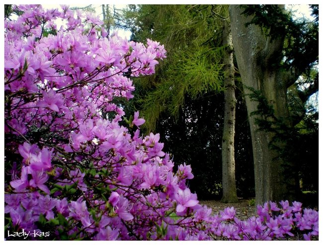 Ostatnie pozegnanie ks.Andrzeja