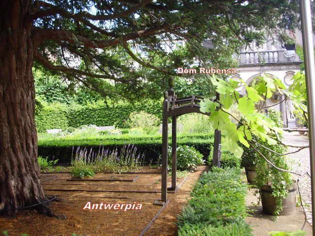 BELGIA NIEMCY HOLANDIA rok2012