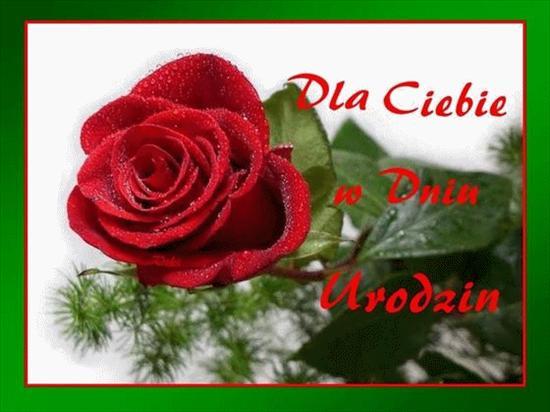 Agnieszko wszystkiego najlepszego w dniu urodzin