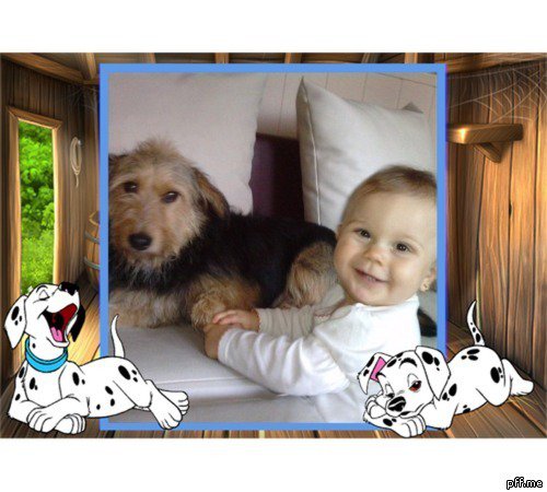 MÓJ PRZYJACIEL PIES !