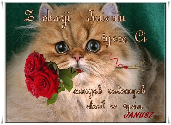 ZYCZENIA IMIENINOWE