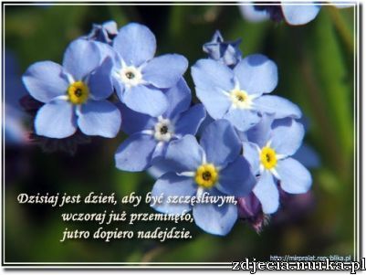 BASIA.......MOJA MIŁOŚĆ