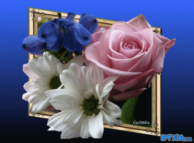 ##   DLA  PRZYJACIOL  Z  NK   ###   BUZIACZKI  ###