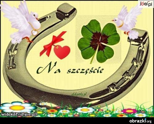 ALFRED TOMICZEK ZAMOŚĆ  27.07.2012.R