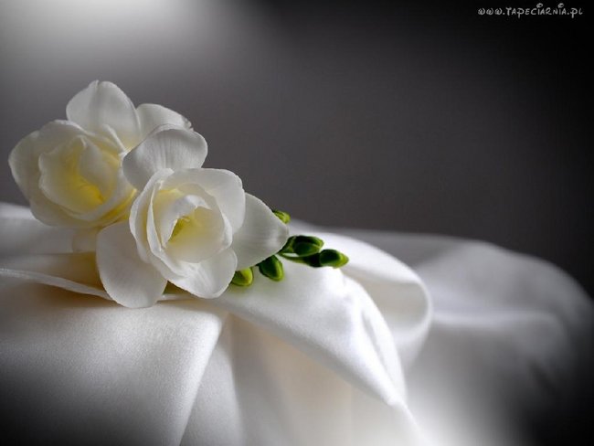 Niebo jest u stóp matki