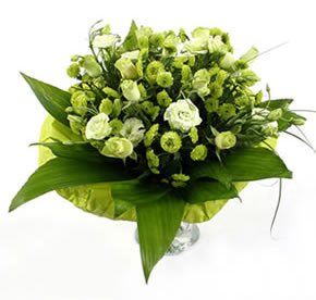 dla przyjaciół z nk