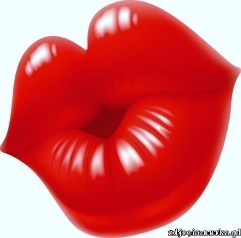 HALLO    MEIN   FREUND