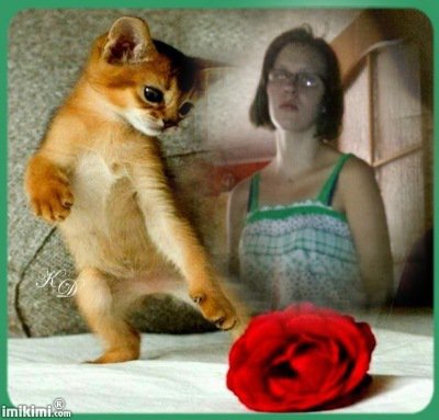 ZA WASZĄ PRZYJAŻŃ -SERCEM DZIĘKUJĘ