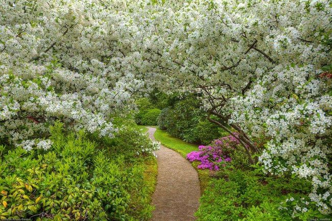 Miłość jest wieczna...