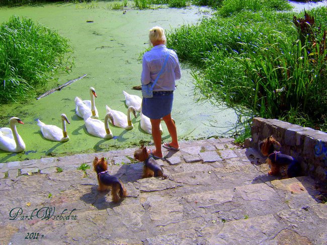 Park Wschodni / Wrocław