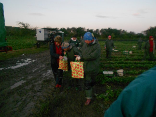 Wspomienia z Purkshof-Niemcy