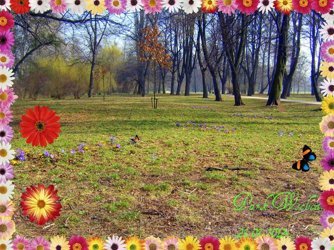 Park Wschodni  / Wrocław - Osiedle Henrykowskie Tarnogaj