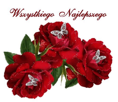 W DNIU   URODZIN   URSZULI