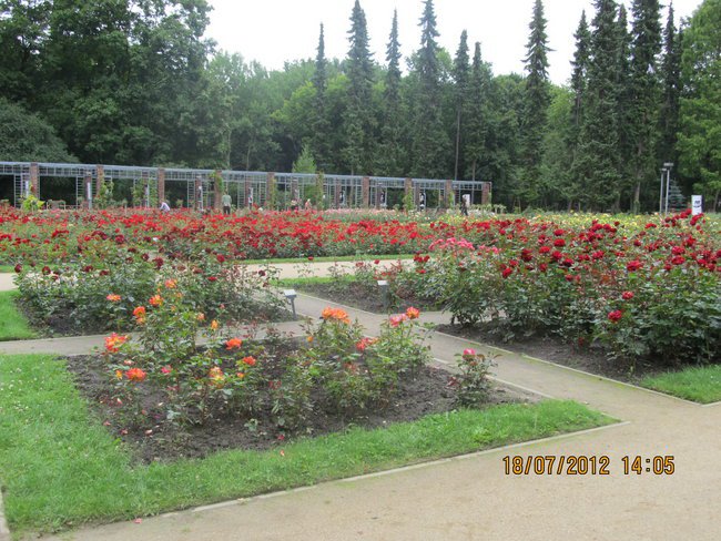 Wakacje Ninki i Ignasia  2012 .r