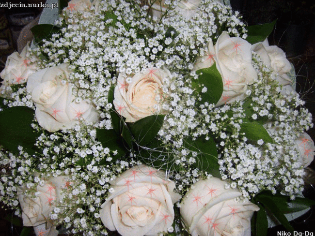 ###   DLA  MOICH  PRZYJACIOL Z NK ###   BUZIAKI ##