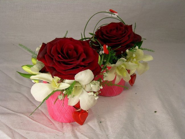 Z okazji Twego święta Beatko niech Ci słońce jasno świeci