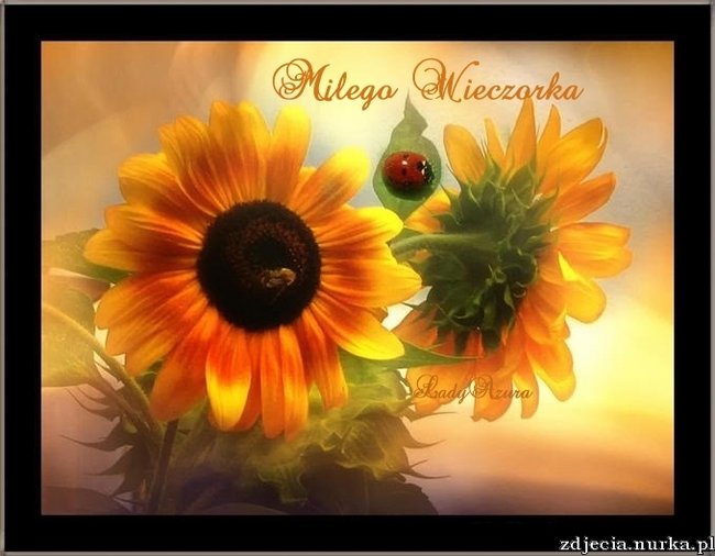 ##  DLA  #  CIEBIE  ##  MILEGO  WIECZORU I DOBREJ  NOCKI  TOBIE   ZYCZE  ::::   BUZIAKI  ;