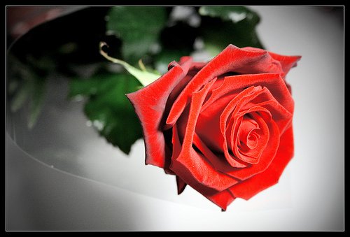 Dla Wspaniałej Kolezanki Z Dzieciństwa..Lidzi..