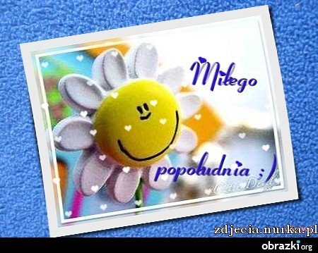 ,,WITAM WAS KOCHANI,,,