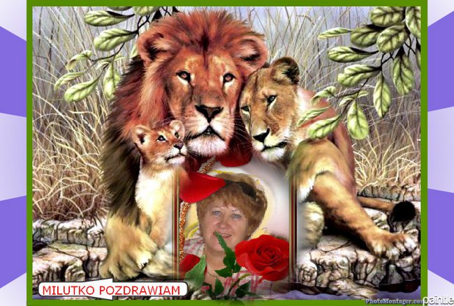 DLA  MOICH PRZYJACIOŁ