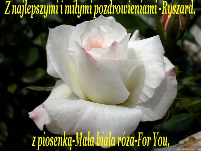 Dla swojej przyjaciółki