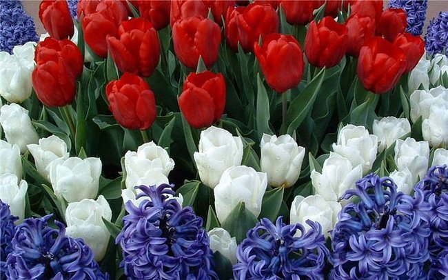 DLA WSPANIAŁEJ CÓRKI, PRZYJACIÓŁKI...TERESKI.