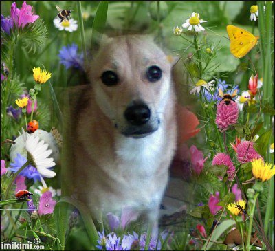 DLA MOJEJ KOCHANEJ SABUNI:):)