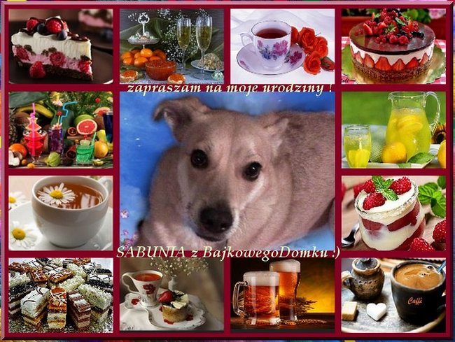 Wszystkiego Najlepszego Kochana Sabuniu:):)