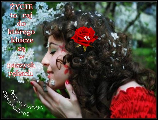 DO WIDZENIA DO JUTRA.