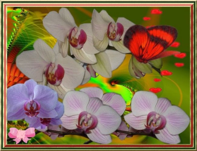 W   DNIU    URODZIN   MARIANA  S.