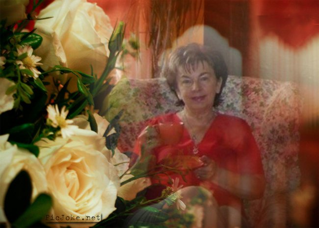 JESIENNE  RÓŻE......