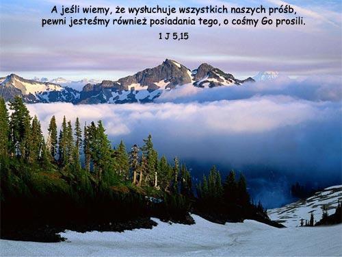 Dla Basi i Jej Rodziny