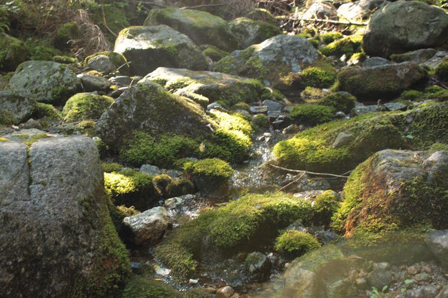 Tatry-droga do Czarnego Stawu Gąsienicowego  Wrzesień 2012