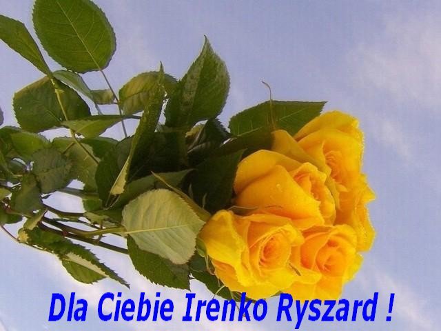 Jesienne roże dla Irenki !