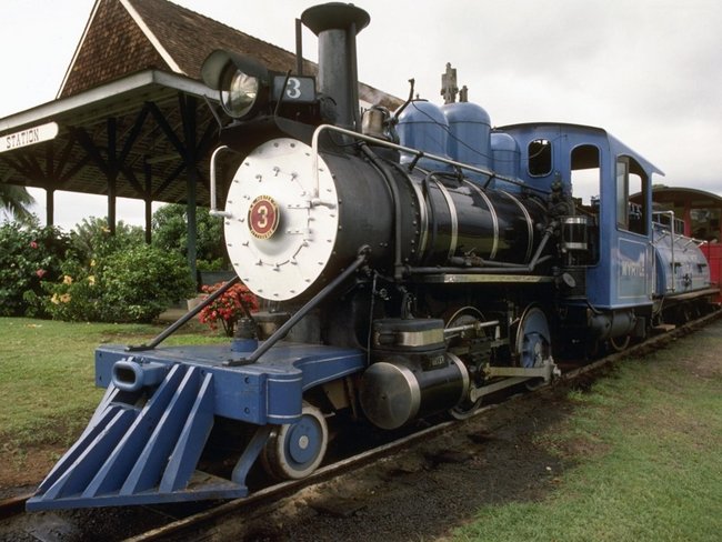 HAFAJ JEST PIĘKNY....