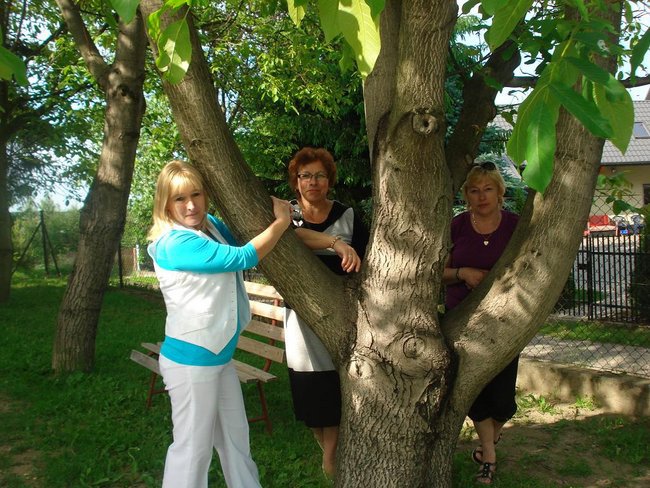 Wspomnienie lata.Polska 2012