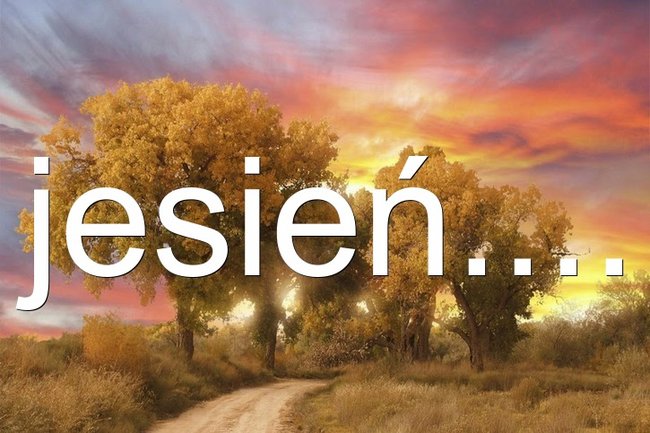 jesień..