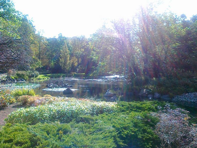 SPACERKIEM PO OGRODZIE JAPOŃSKIM I BOTANICZNYM WE WROCŁAWIU