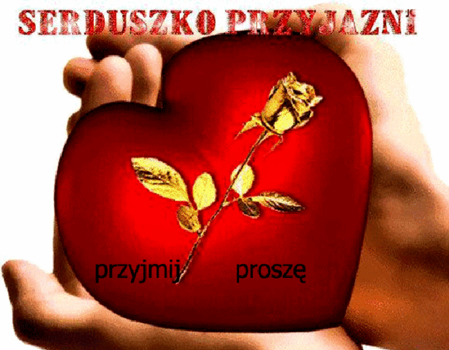 Wirtualna przyjażń