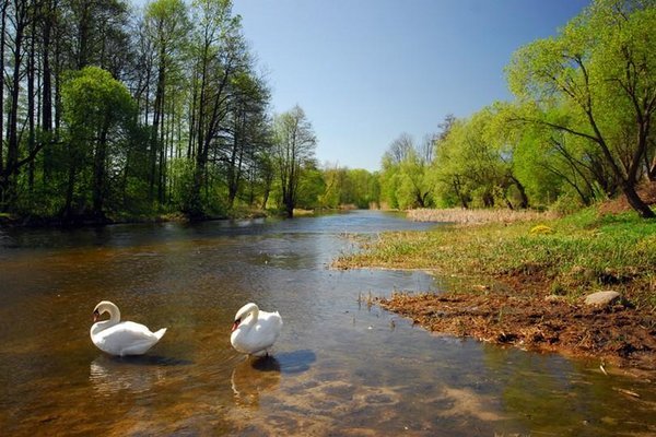 Promieniem malowane..........