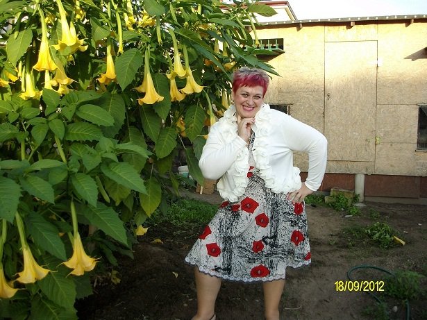 Miłych Snów :) Dobranoc