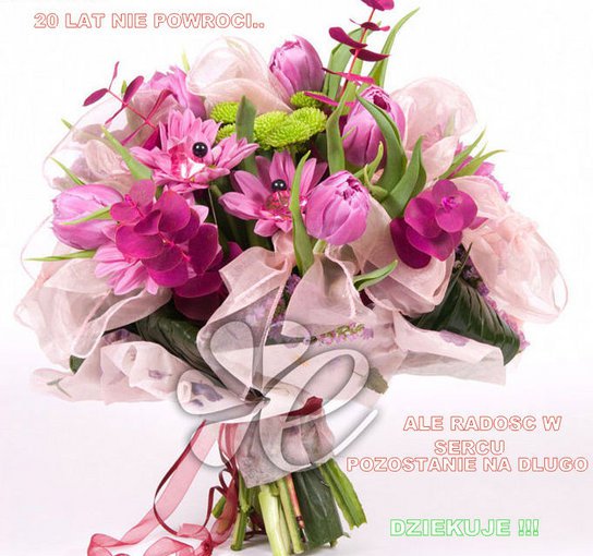 ***NIECH ŻYJE BAL***