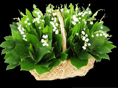 W DNIU IMIENIN PREZENTERKI RADYJKA MMS DANUSI URWISKA.