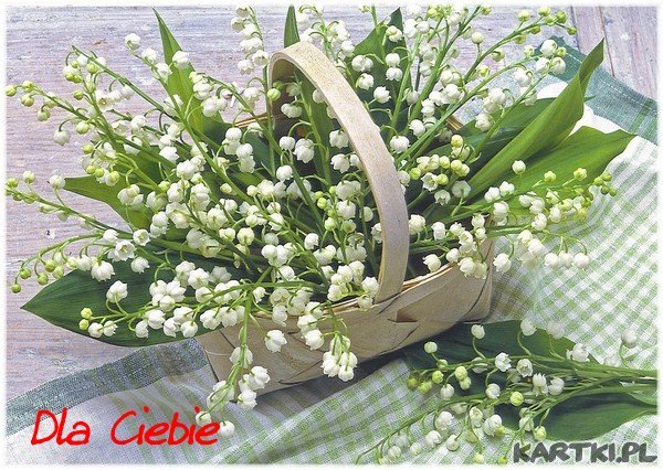 Nowa stara miłość